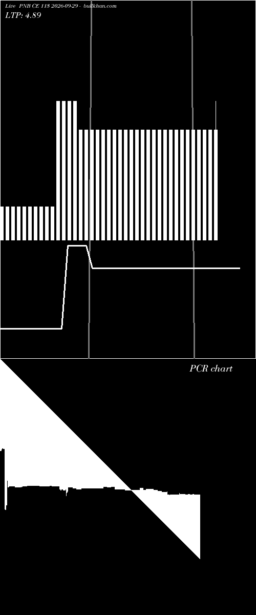  option chart PNB CE 113 2026-09-29 