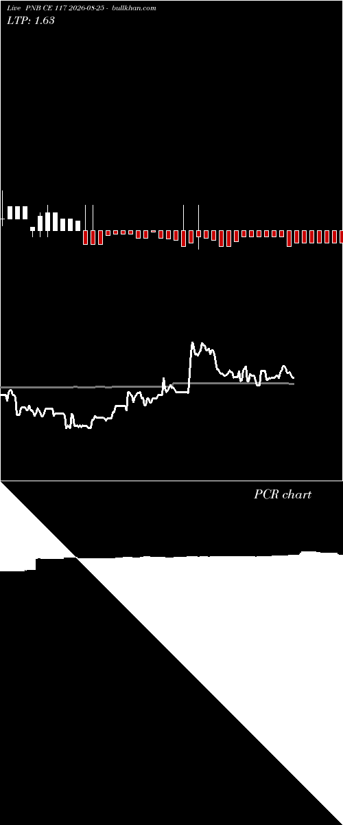  option chart PNB CE 117 2026-08-25 