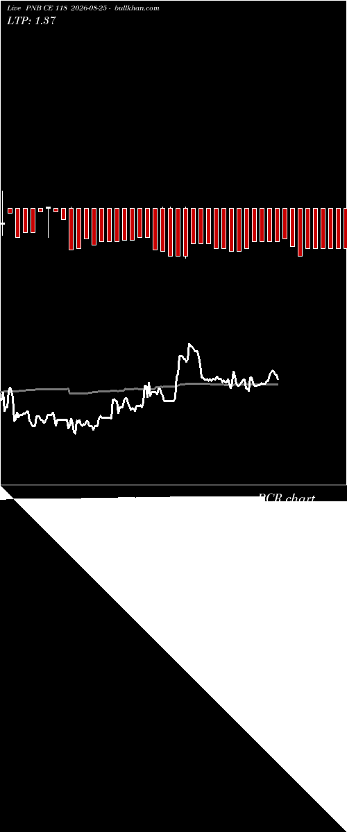  option chart PNB CE 118 2026-08-25 