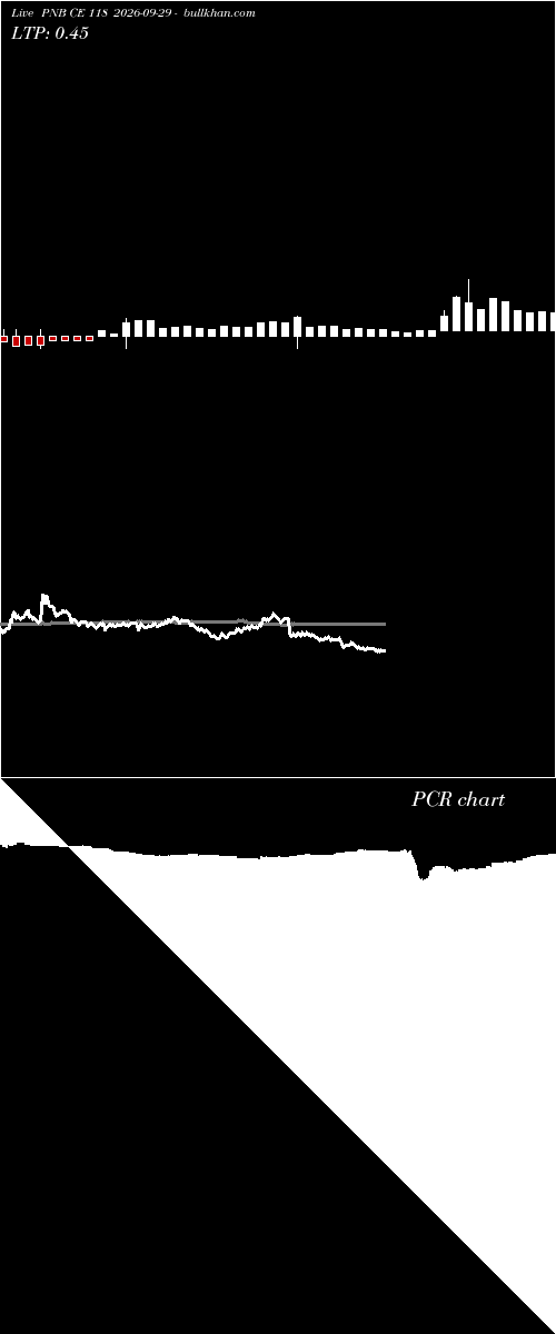  option chart PNB CE 118 2026-09-29 