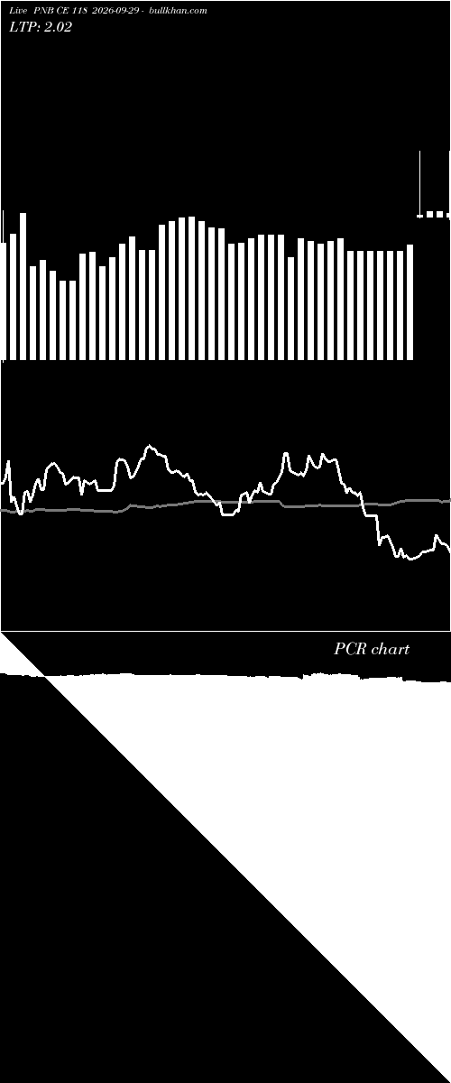  option chart PNB CE 118 2026-09-29 