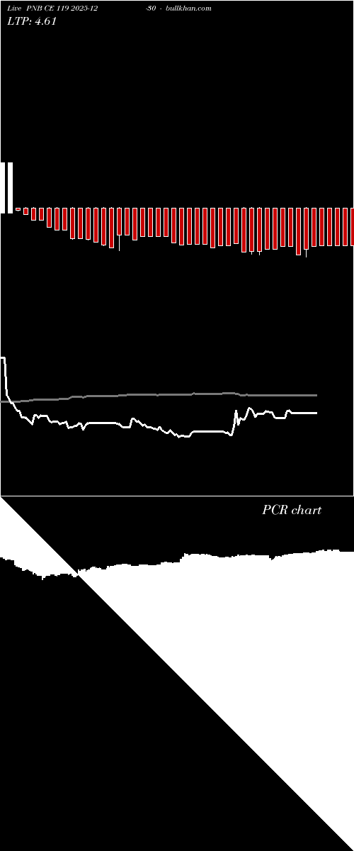  option chart PNB CE 119 2025-12-30 