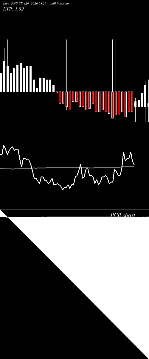  option chart PNB CE 120 2026-08-25 