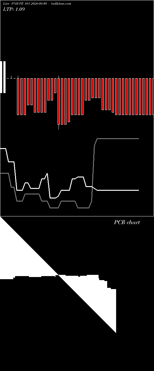  option chart PNB PE 101 2026-06-30 