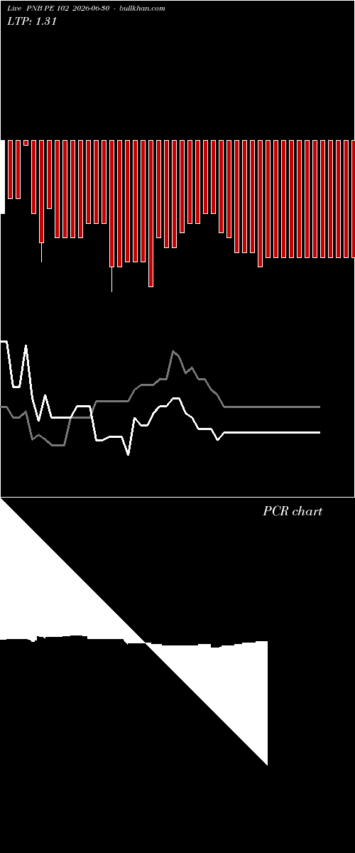  option chart PNB PE 102 2026-06-30 