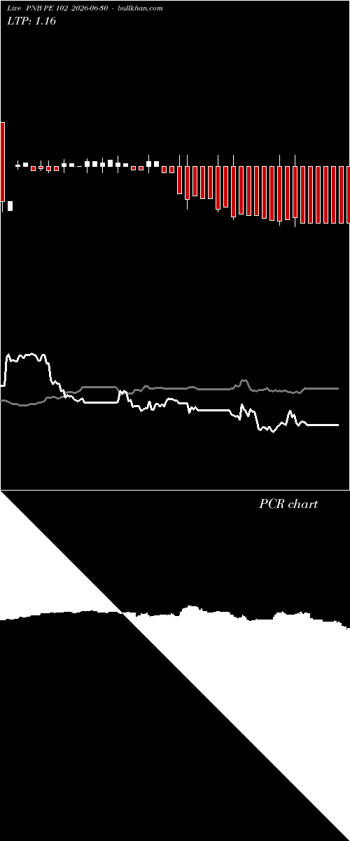  option chart PNB PE 102 2026-06-30 
