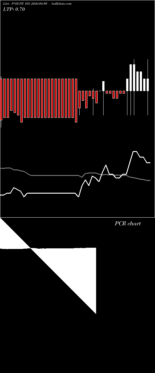  option chart PNB PE 105 2026-06-30 