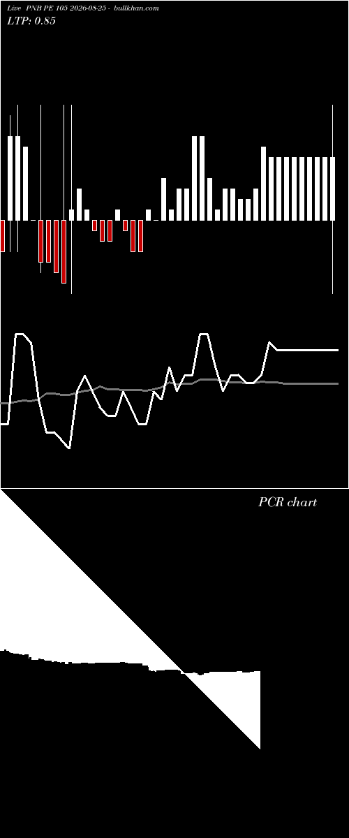  option chart PNB PE 105 2026-08-25 