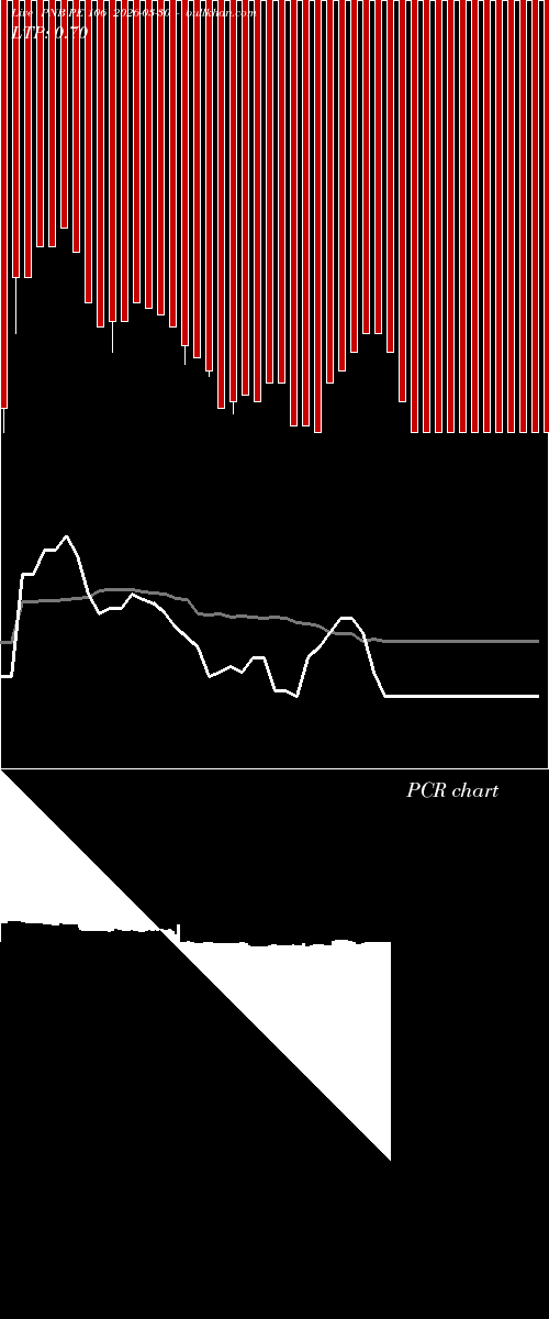  option chart PNB PE 106 2026-03-30 