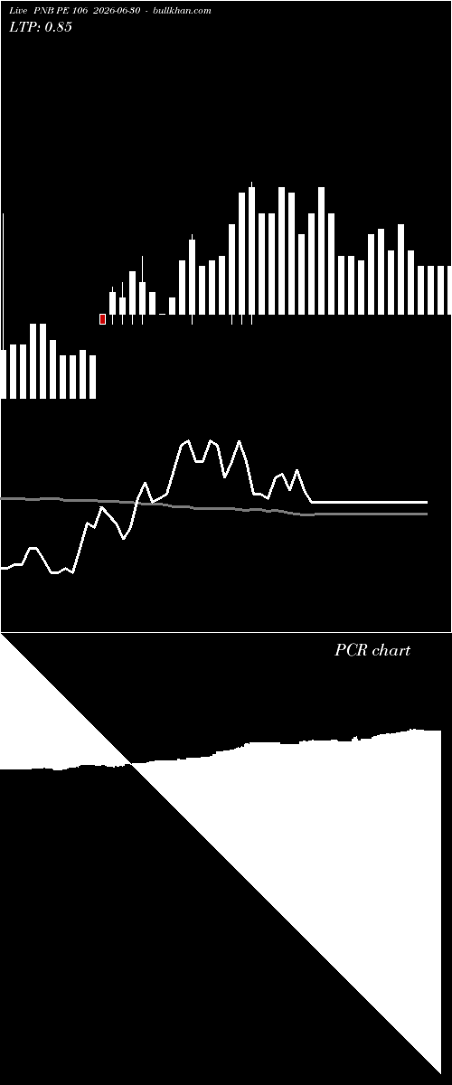  option chart PNB PE 106 2026-06-30 