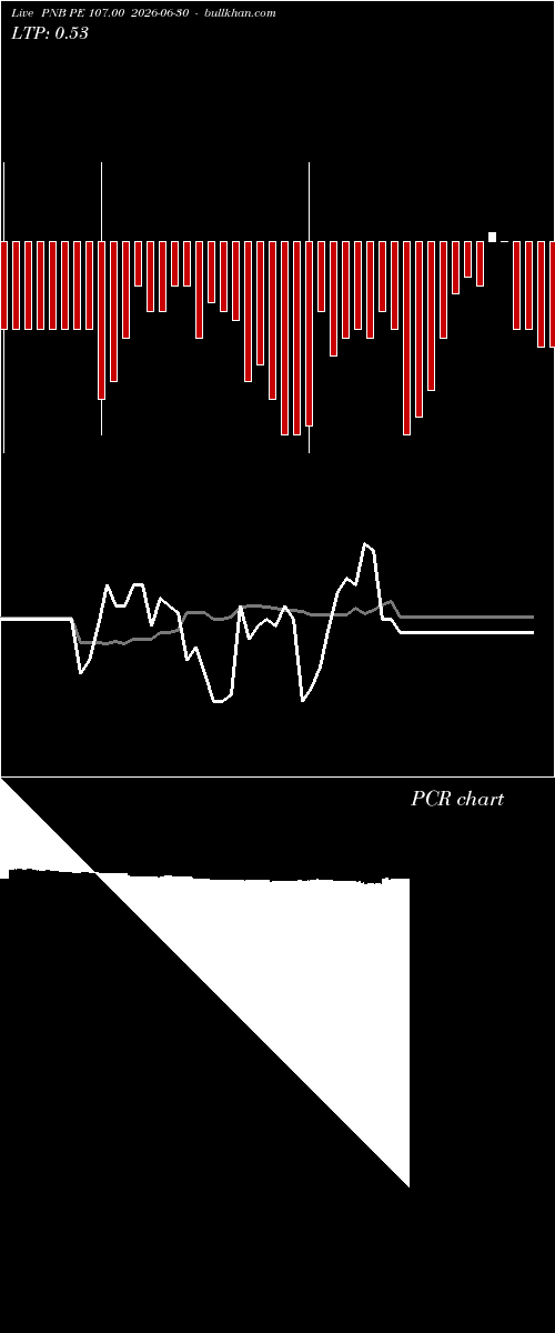  option chart PNB PE 107.00 2026-06-30 