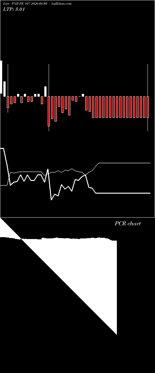  option chart PNB PE 107 2026-06-30 