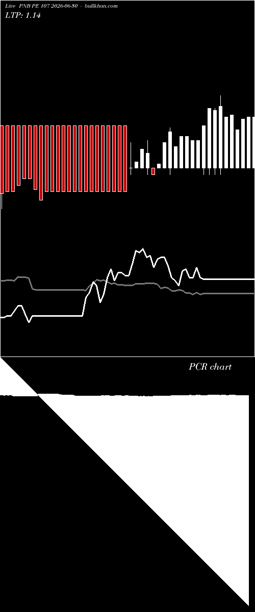  option chart PNB PE 107 2026-06-30 