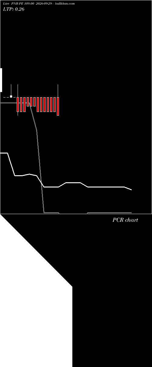  option chart PNB PE 109.00 2026-09-29 