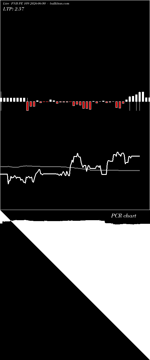  option chart PNB PE 109 2026-06-30 