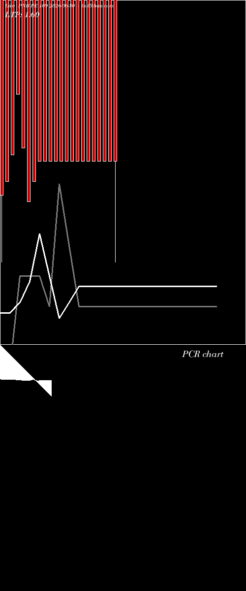  option chart PNB PE 109 2026-06-30 