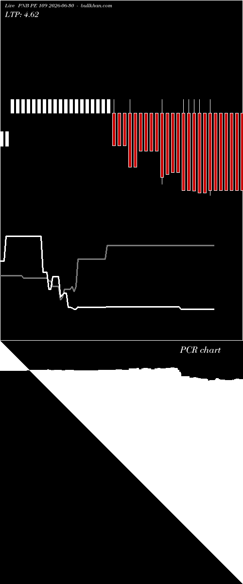  option chart PNB PE 109 2026-06-30 
