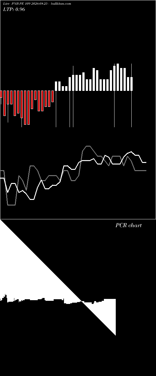  option chart PNB PE 109 2026-08-25 
