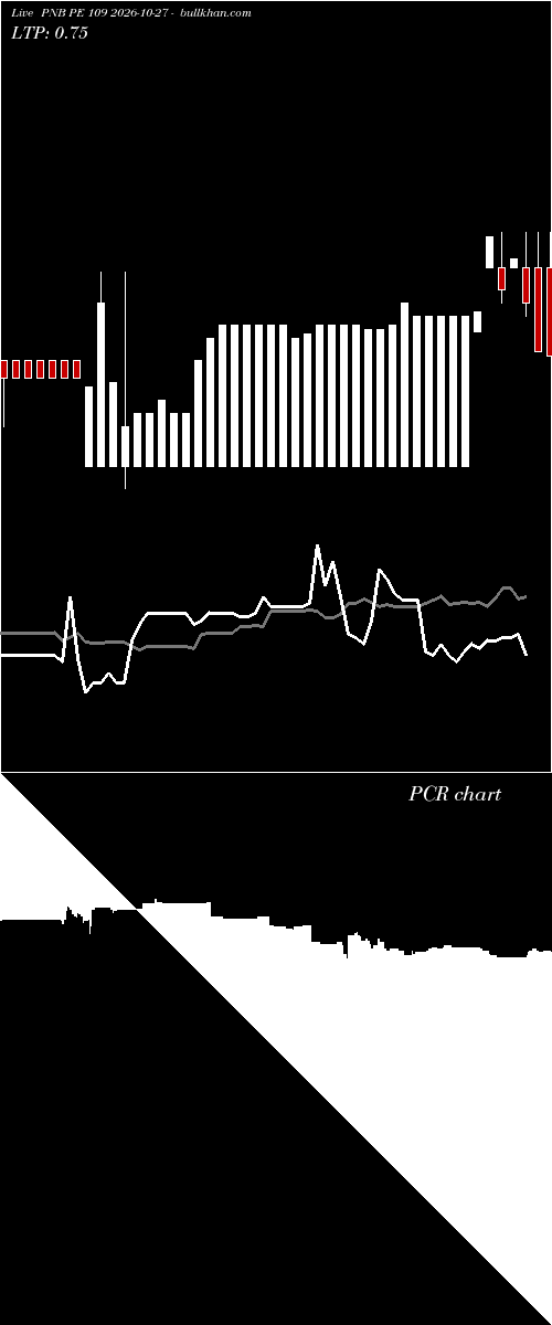  option chart PNB PE 109 2026-10-27 