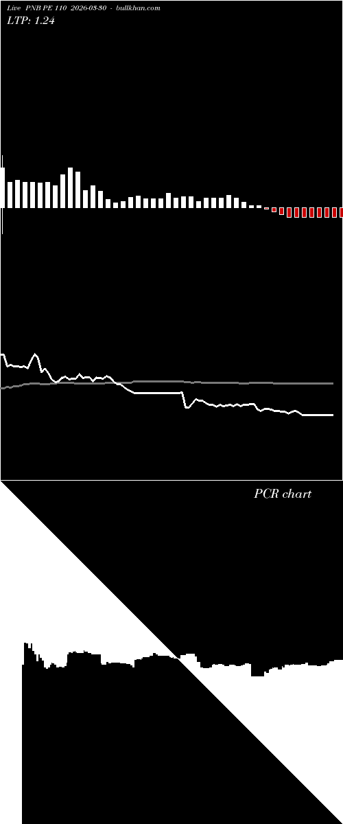  option chart PNB PE 110 2026-03-30 