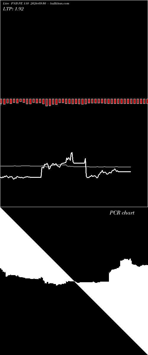  option chart PNB PE 110 2026-03-30 