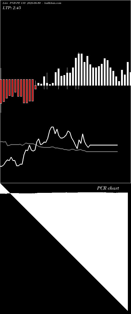  option chart PNB PE 110 2026-06-30 
