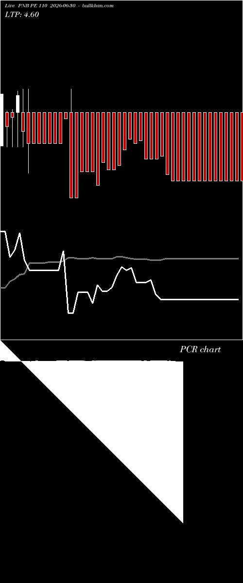  option chart PNB PE 110 2026-06-30 