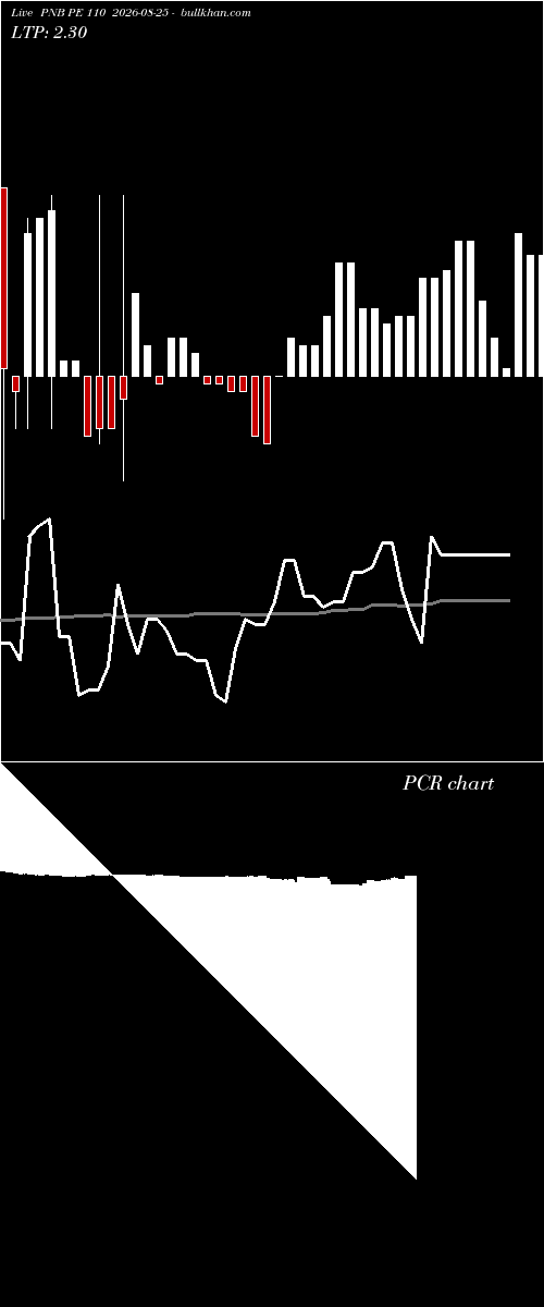  option chart PNB PE 110 2026-08-25 