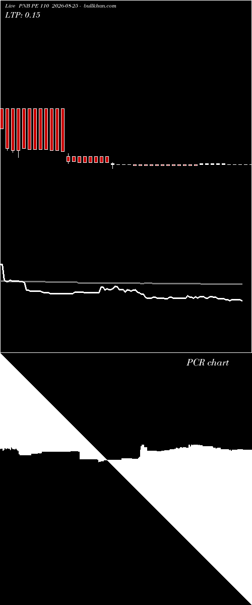  option chart PNB PE 110 2026-08-25 