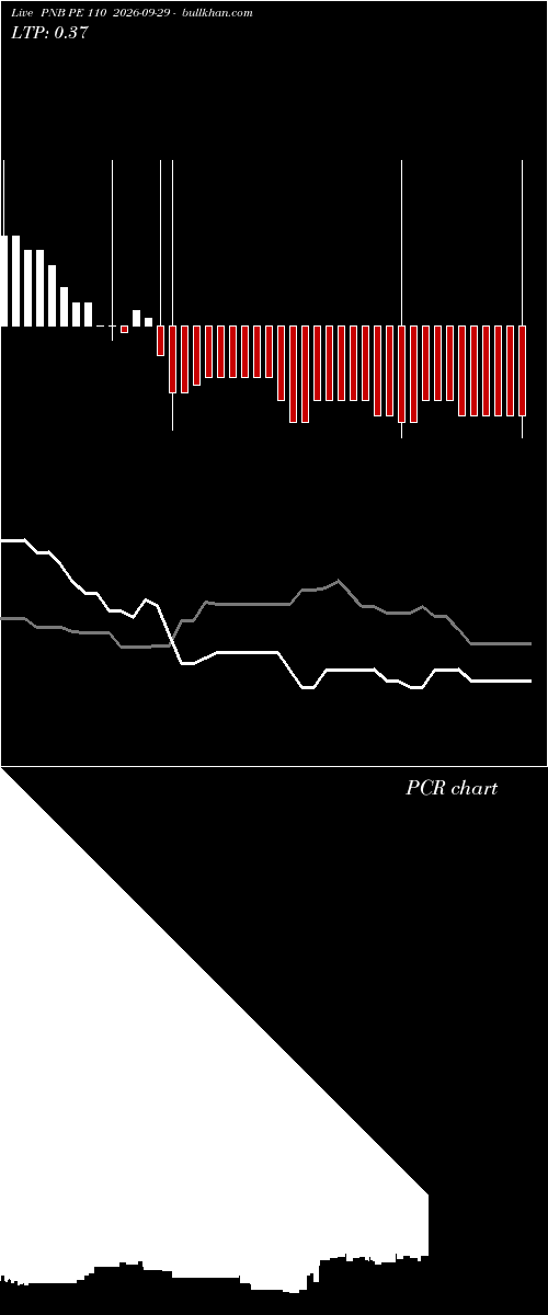  option chart PNB PE 110 2026-09-29 