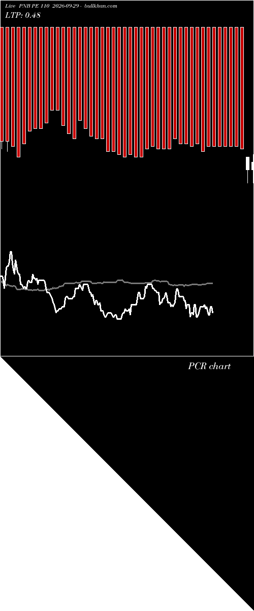  option chart PNB PE 110 2026-09-29 