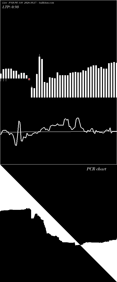  option chart PNB PE 110 2026-10-27 