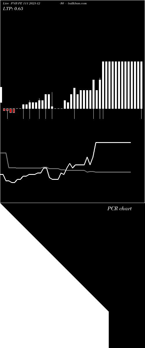  option chart PNB PE 111 2025-12-30 