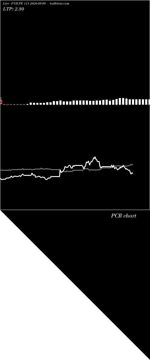  option chart PNB PE 111 2026-03-30 