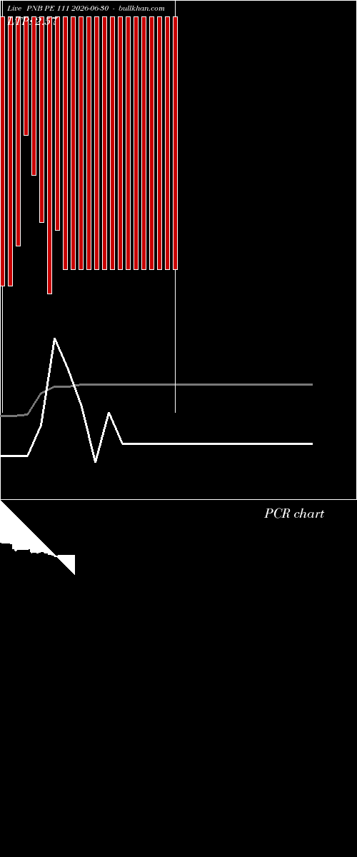  option chart PNB PE 111 2026-06-30 