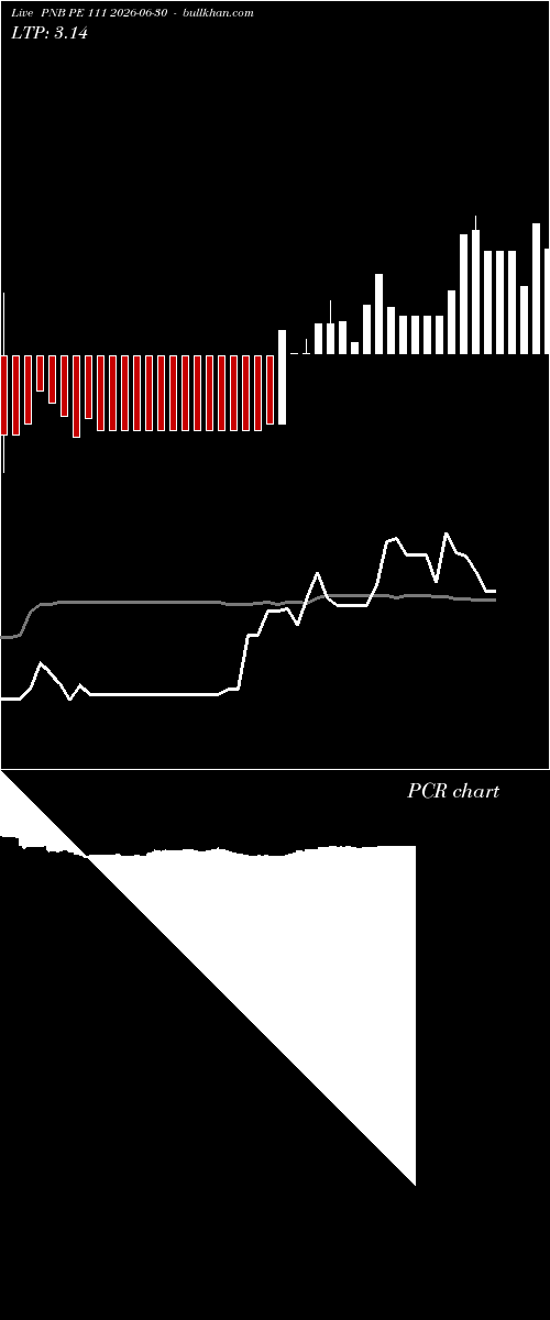  option chart PNB PE 111 2026-06-30 