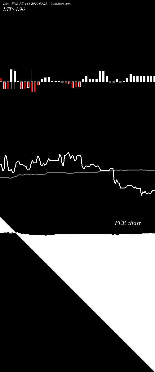  option chart PNB PE 111 2026-08-25 