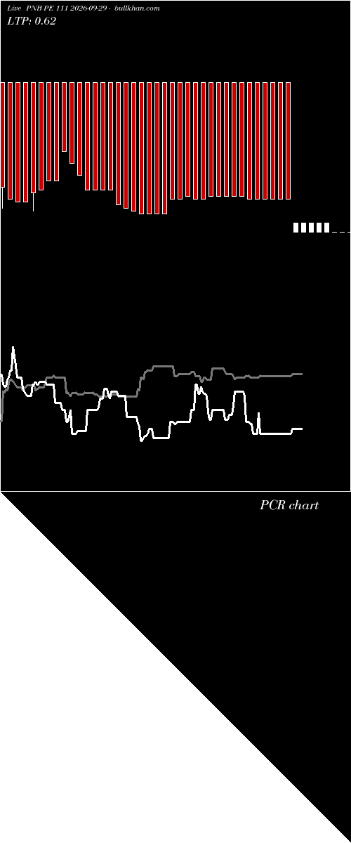  option chart PNB PE 111 2026-09-29 