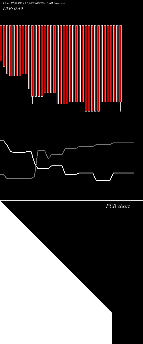  option chart PNB PE 111 2026-09-29 