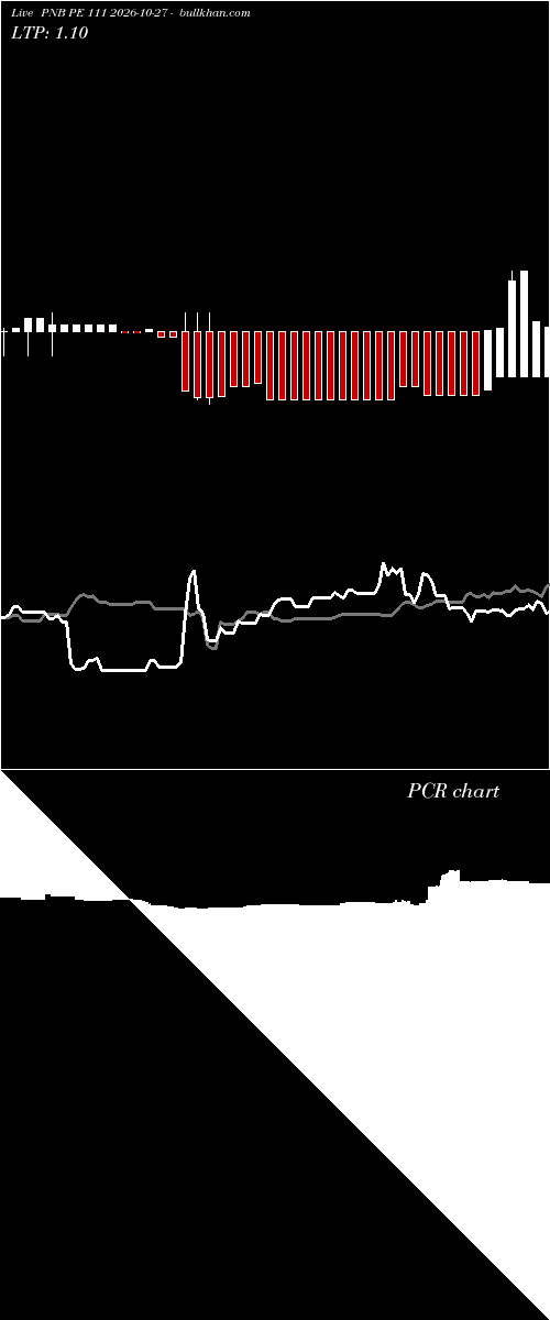  option chart PNB PE 111 2026-10-27 