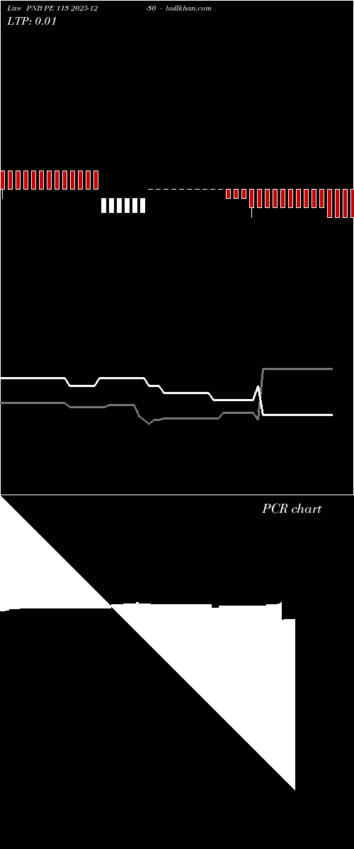  option chart PNB PE 113 2025-12-30 
