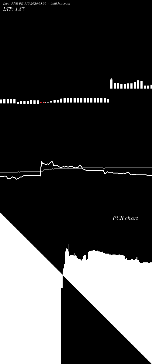  option chart PNB PE 113 2026-03-30 