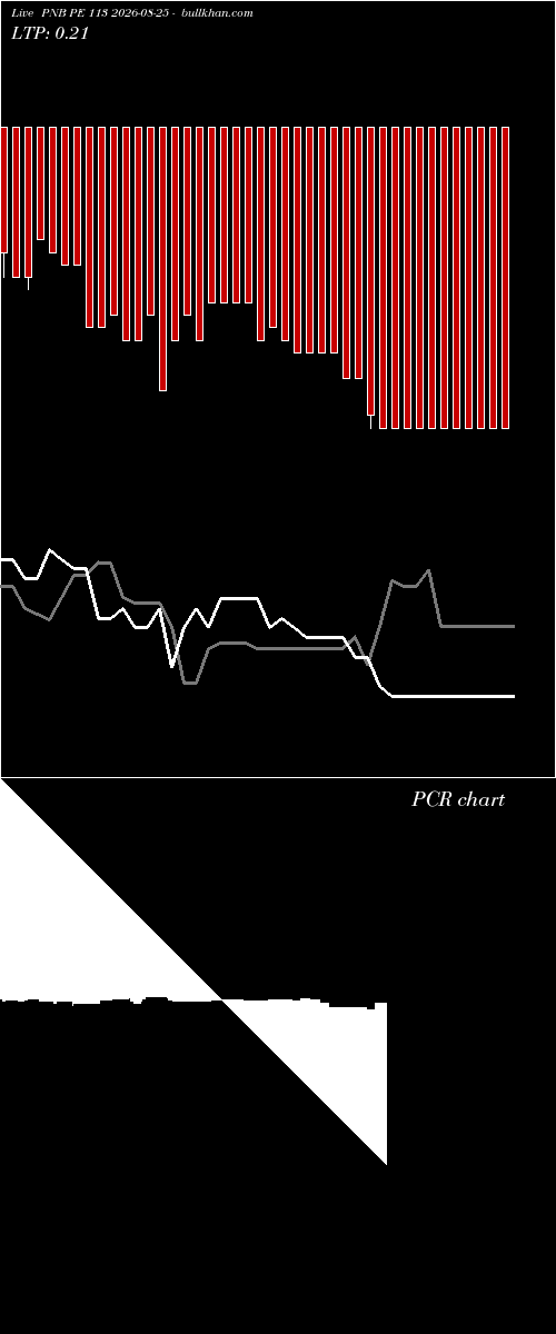  option chart PNB PE 113 2026-08-25 