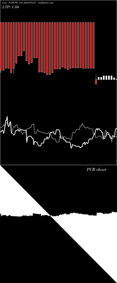  option chart PNB PE 113 2026-09-29 