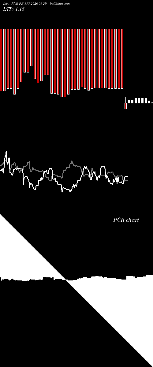  option chart PNB PE 113 2026-09-29 