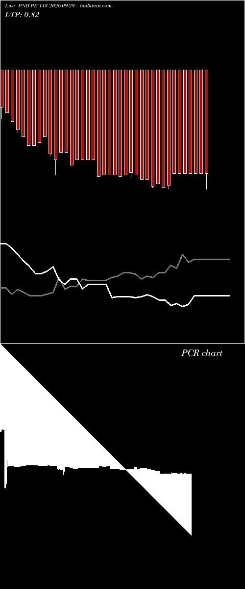  option chart PNB PE 113 2026-09-29 