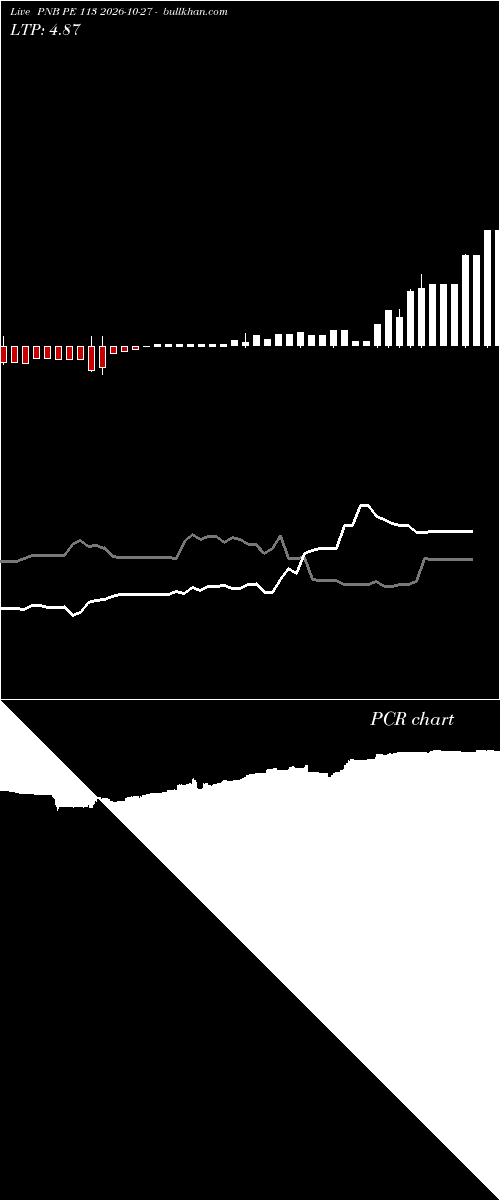  option chart PNB PE 113 2026-10-27 