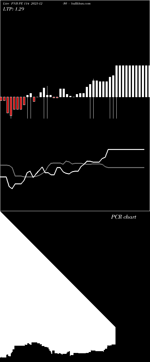  option chart PNB PE 114 2025-12-30 