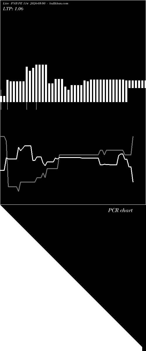  option chart PNB PE 114 2026-03-30 