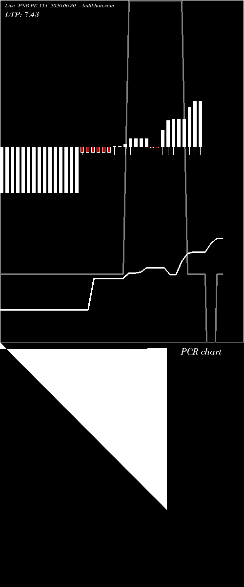  option chart PNB PE 114 2026-06-30 